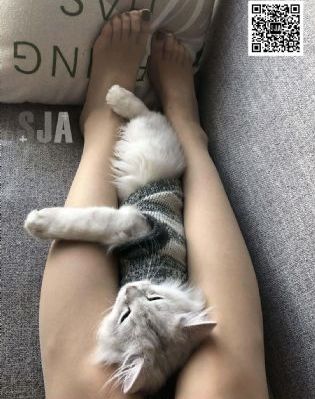 地狱少女二笼_BD英语完整版观看