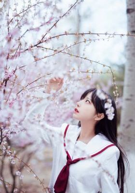 樱之空动漫_DVD高清完整版播放